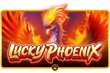 m9 boss VIP Live Casino Table High Limit Baccarat မြင်ကွင်း
